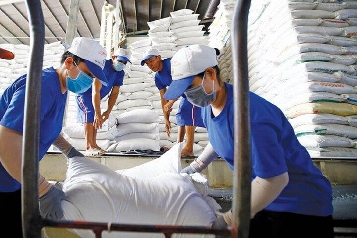 Ads (0:02)Giá gạo xuất khẩu của Việt Nam cao nhất thế giới trong nhiều ngày qua. (Ảnh minh hoạ: Bộ Công Thương).